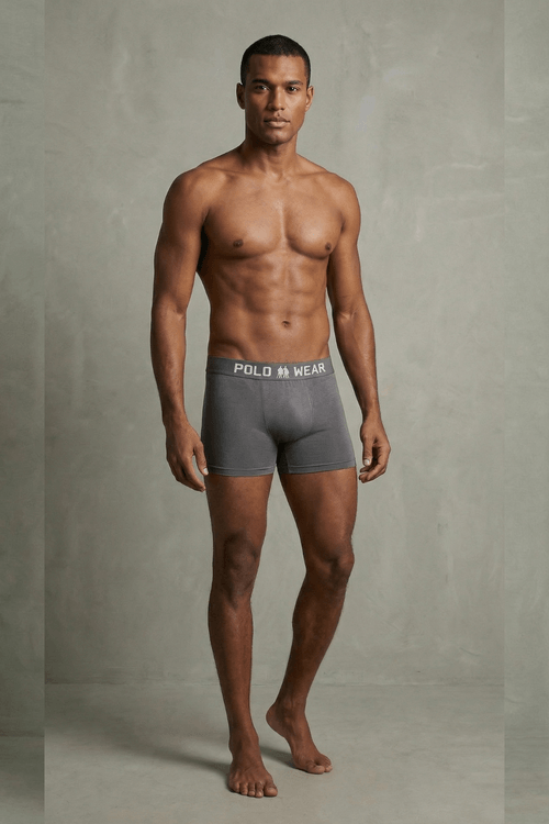 Kit 10 Cuecas Boxer Lisa Polo Wear Sortido