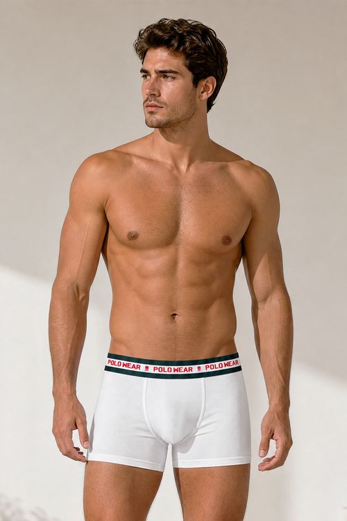 Kit 4 Cuecas Algodão Conforto Diário Polo Wear Sortido