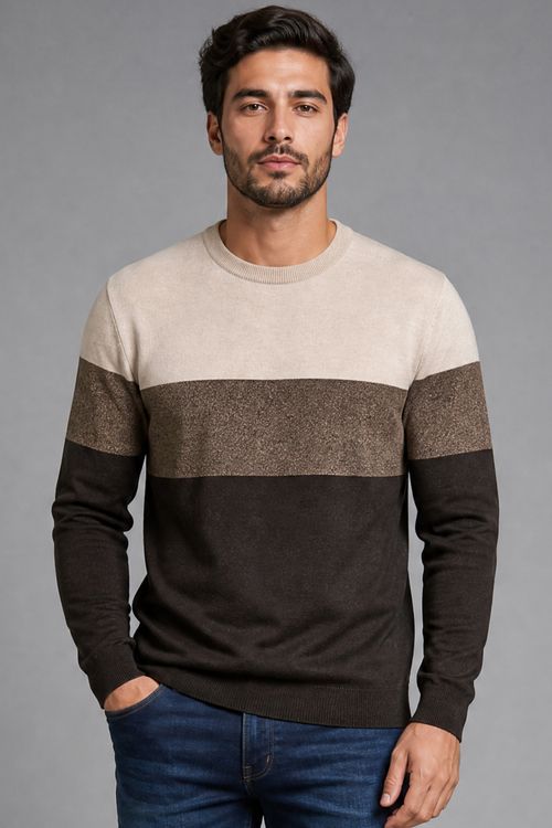 Suéter Masculino Listrado Polo Wear Marrom Médio