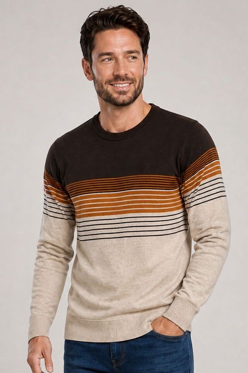 Suéter Masculino Listrado Polo Wear Marrom Claro