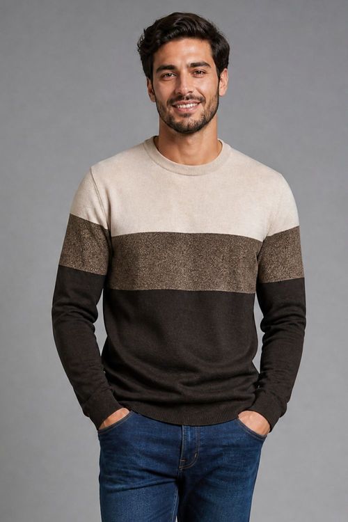 Suéter Masculino Listrado Polo Wear Marrom Médio