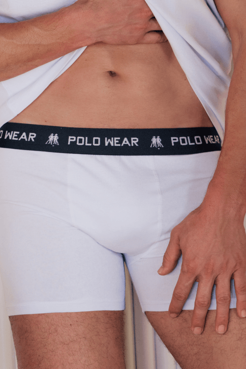 Kit 10 Cuecas Boxer Algodão Polo Wear Sortido