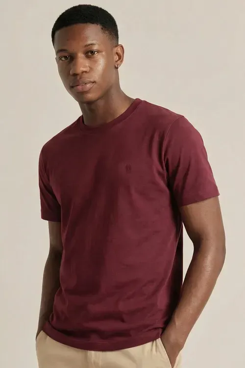 Camiseta Masculina Básica Lisa Casual Polo Wear Vinho